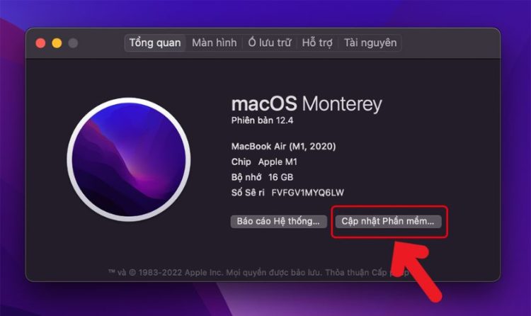 Khắc phục Safari bằng cách cập nhật macOS 3