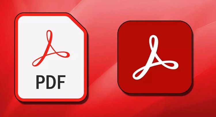 Cách chỉnh sửa file PDF bằng Adobe Reader